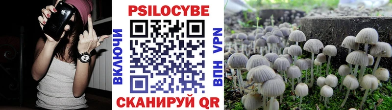 blacksprut ТОР  Лахденпохья  Псилоцибиновые грибы прущие грибы 